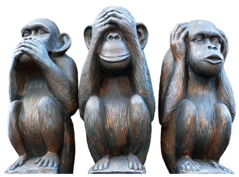 The Three Monkeys of Deceiving Yourself | Disability in Business